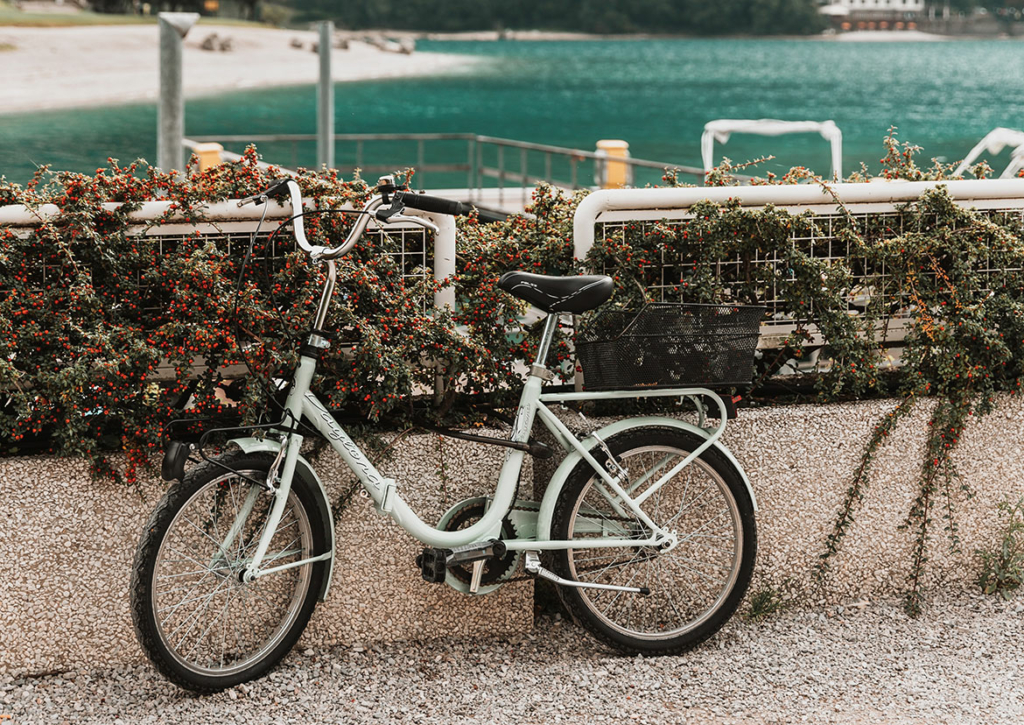 routes des grandes alpes rennrad Cycling the Route Alpes: Cycling through the French Alps from Lac Leman to Menton/Nice (Cicerone guidebooks) : Belbin, Giles Bücher Farbe:blau (türkis matt) Multi-Effects: Pedals to transform PLP_Feature-Display:Bosch Intuvia