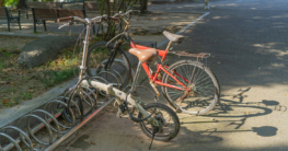 Muss es unbedingt ein elektrisches Faltrad sein?