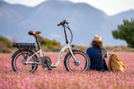 Blaupunkt LOTTE® m. Rücktritt