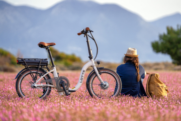 Blaupunkt LOTTE® m. Rücktritt